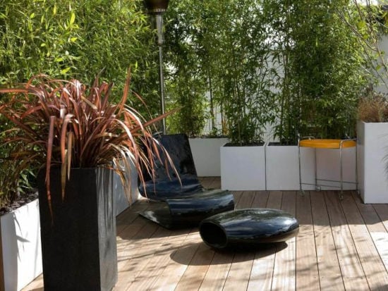 On craque littéralement pour le jardin zen ultra tendance bordé de bambous et plantes d’ornement